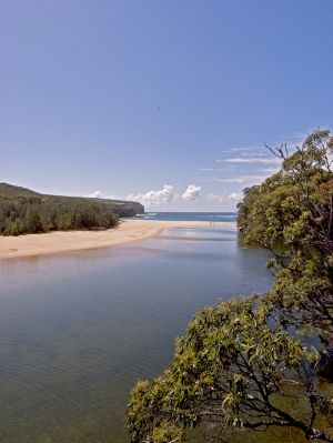 Wattamola Royal National Park NSW